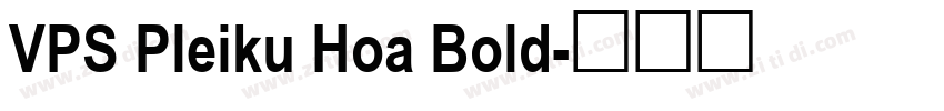 VPS Pleiku Hoa Bold字体转换
